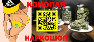 прущие грибы Краснодар