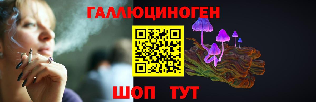 Галлюциногенные грибы Cubensis  Псилоцибиновые грибы GOLDEN TEACHER  Конаково  Вход с VPN 